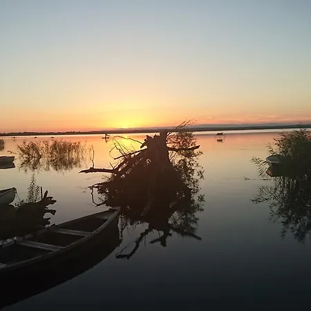 Aranyhal Panzio Es Etterem * Balatonbereny